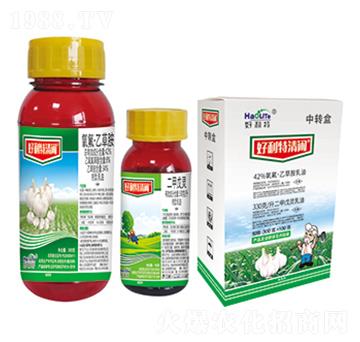 42%�������Ҳݰ�+330��ÿ���������`-���������e-����������