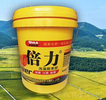 �������������-�A�Z��