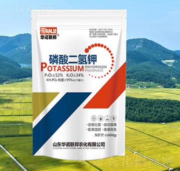 1000g��������-�A�Z��