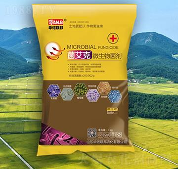 ΢�������-������-�A�Z��