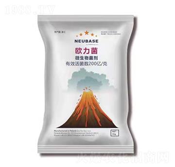 ΢�������-�W����-����}