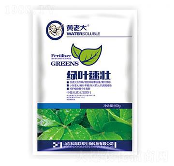 �G�~�ى�-�S�ϴ�-�ƺ�