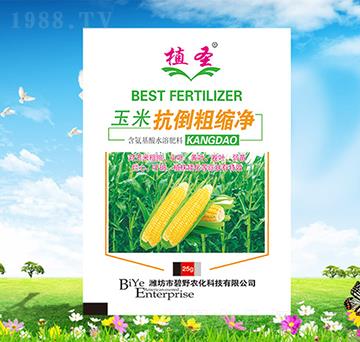 ���׿����ֿs��-ֲʥ-