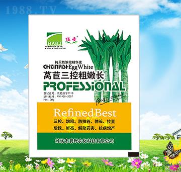 �n�S���ش����L(zh��ng)-ֲʥ-