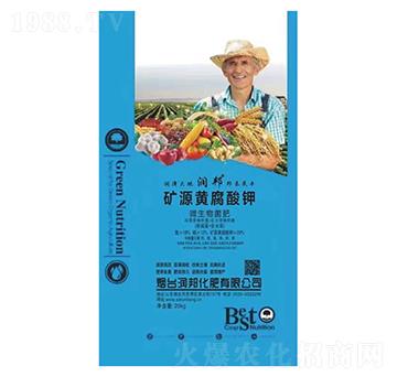 �VԴ�S�����-��(r��n)���