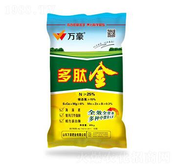 25%���Ľ�-�f��