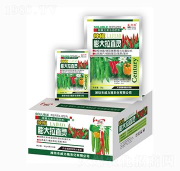 �����ֱ�`-����ʩ