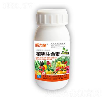 ֲ��������-����ʩ