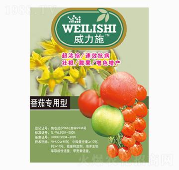 ���ь�����-����ʩ