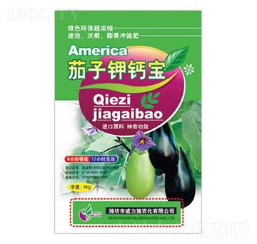 ������}��-����ʩ