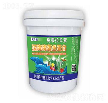 ������~(y��)����-�����