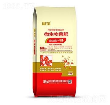 ΢�������-���