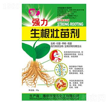 �����������焩-���|��