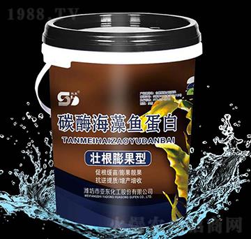 �Ѹ������-̼ø�����~