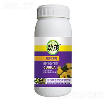 �߻��ٻ���-̩�_(d��)�r(n��ng)��