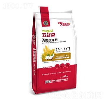 ����溬����ጷ�24-8-8+TE-����֮��-���ʼ��F(tu��n)