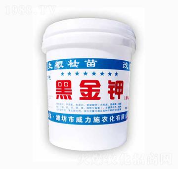 �ڽ��-����ʩ