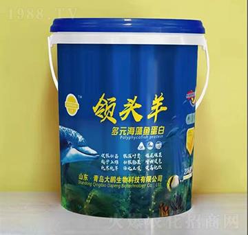 ��Ԫ�����~����-�I�^��-���i����