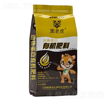 ���ﵰ���ЙC����-���ϻ�-����