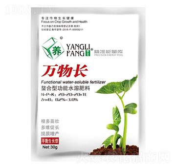 �f(w��n)���L(zh��ng)-�κ��r(n��ng)�I(y��)