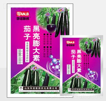 ���Ӻ��������-�A�Z