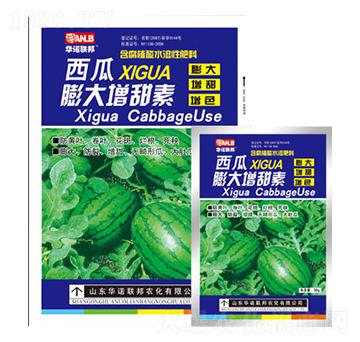 �������������-�A�Z