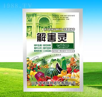 �⺦�`-�A�Z��