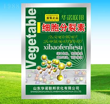 ����������-�A�Z��