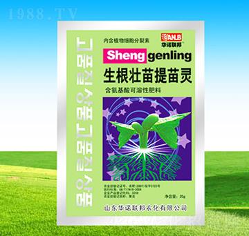 �������������`-�A�Z