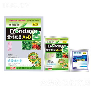 �S�~����A+B-�A�Z