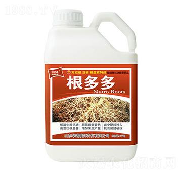 �����-�A�Z��