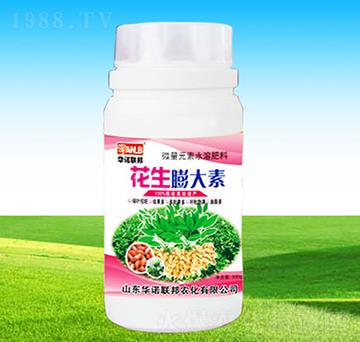 ���������-�A�Z��