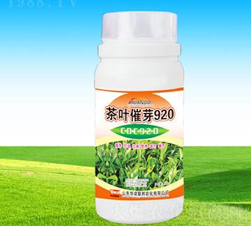 ���~��ѿ920-�A�Z