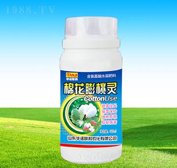 �޻������`-�A�Z��