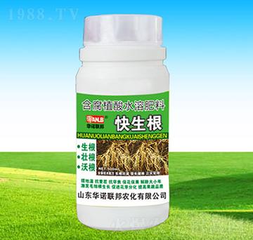 ������-�A�Z��