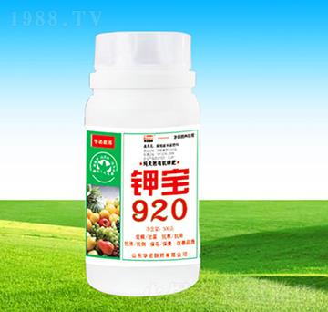 ⛌�920-�A�Z��