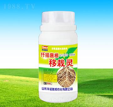 Ǥ��պ�������`-�A�Z