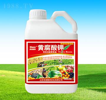 �S�����-�A�Z��