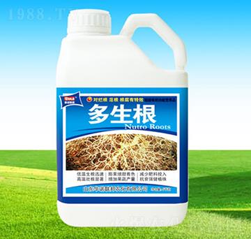 ������-�A�Z��