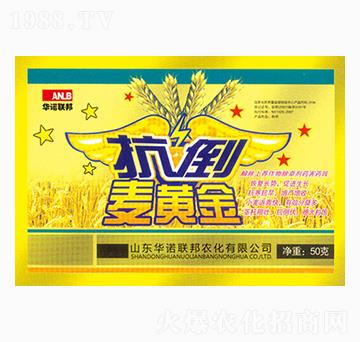 �������S��-�A�Z��