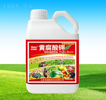 �S�����-�A�Z��