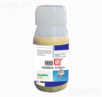 �Ǵ���-�A�Z��