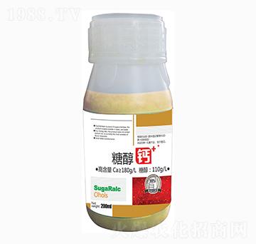 �Ǵ��}-�A�Z��