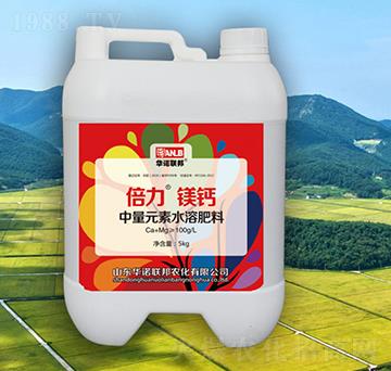 �����V�}-�A�Z��