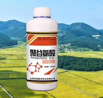 �۹Ȱ���-�A�Z��