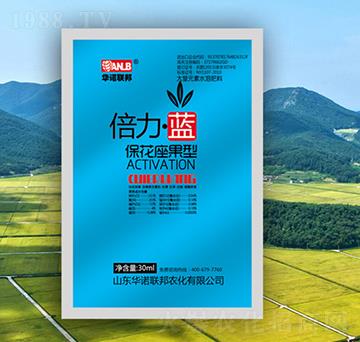 �������{�����������ͣ�