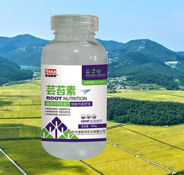 �|̦��-�A�Z��