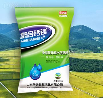 �����}�V-�A�Z��