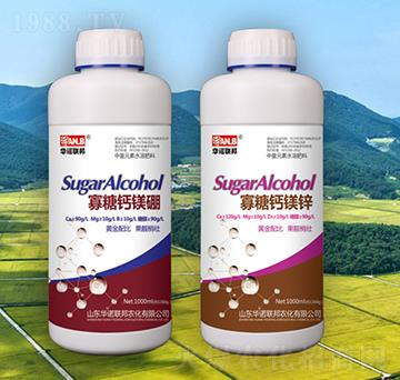 �����}�V��-�A�Z��