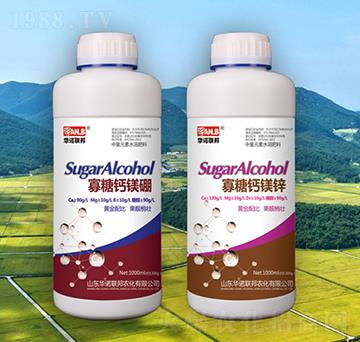 �����}�V�\-�A�Z��